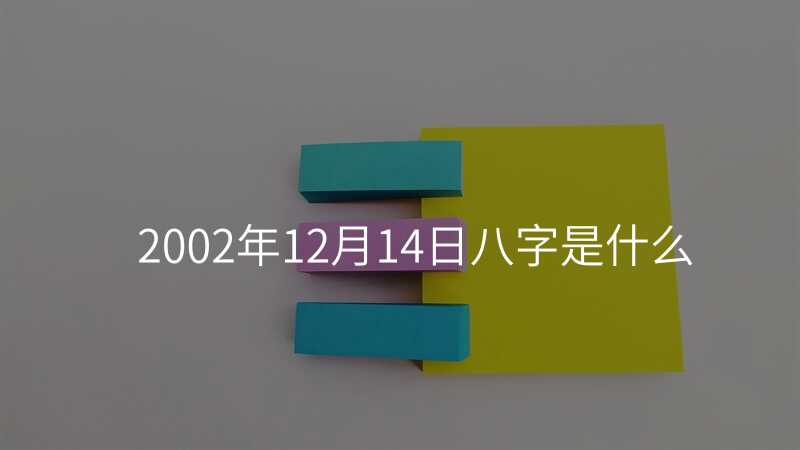 2002年12月14日八字是什么