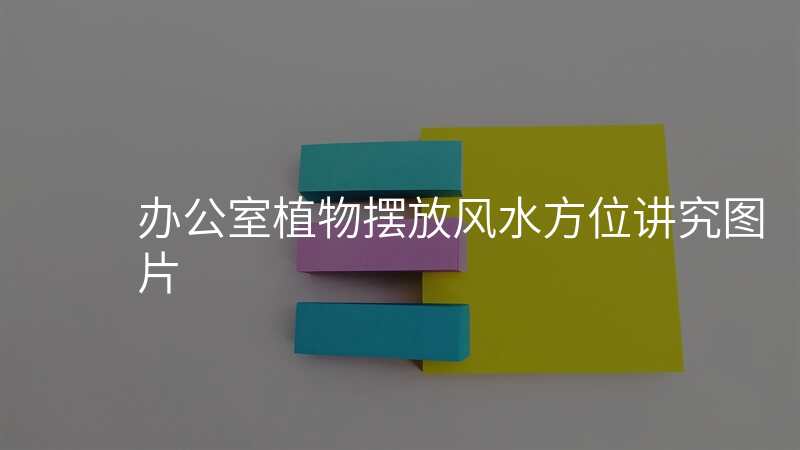 办公室植物摆放风水方位讲究图片