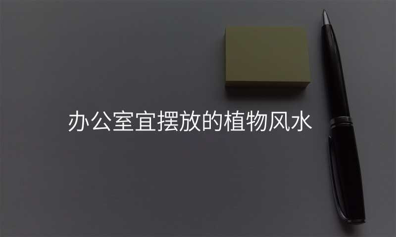 办公室宜摆放的植物风水
