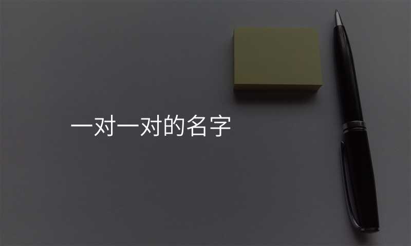 一对一对的名字