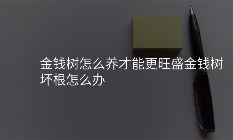 金钱树怎么养才能更旺盛金钱树坏根怎么办