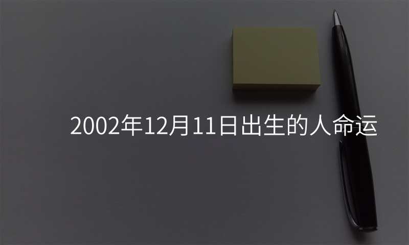 2002年12月11日出生的人命运