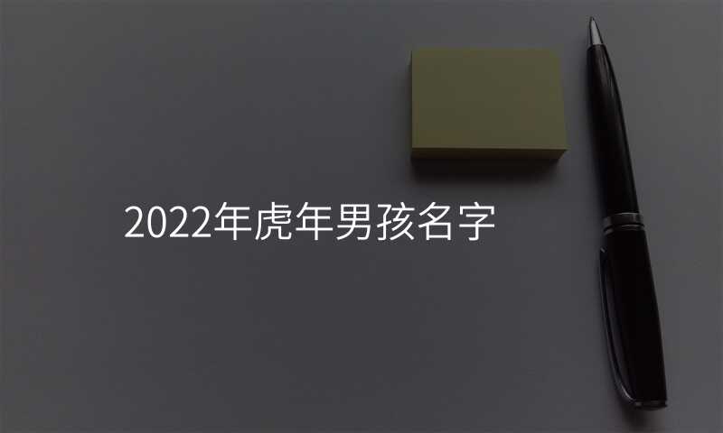 2022年虎年男孩名字