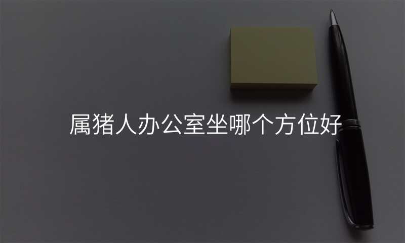属猪人办公室坐哪个方位好