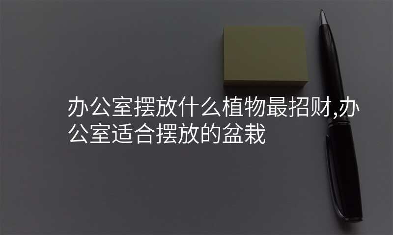 办公室摆放什么植物最招财,办公室适合摆放的盆栽