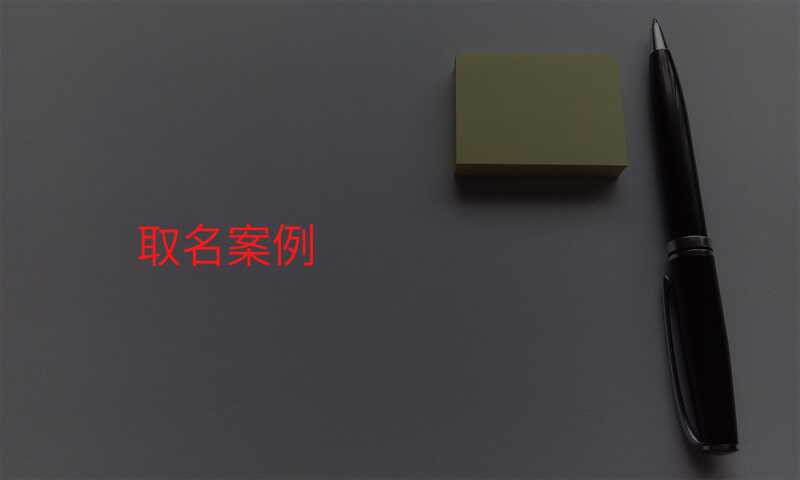 取名案例