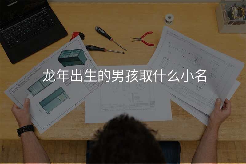 龙年出生的男孩取什么小名