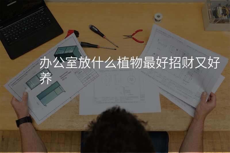 办公室放什么植物最好招财又好养