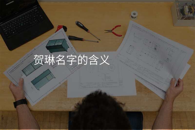 贺琳名字的含义