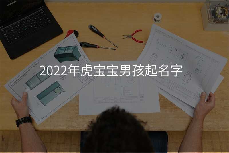 2022年虎宝宝男孩起名字