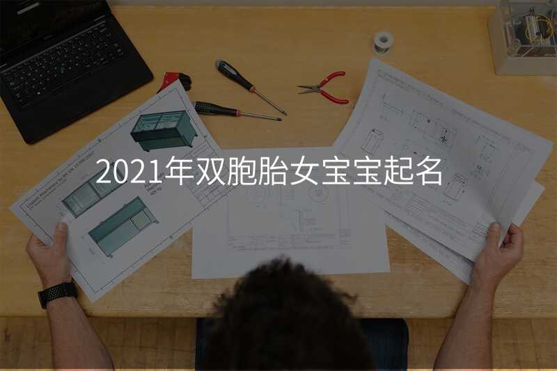 2021年双胞胎女宝宝起名