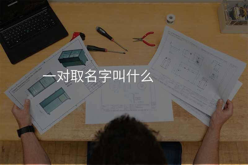 一对取名字叫什么
