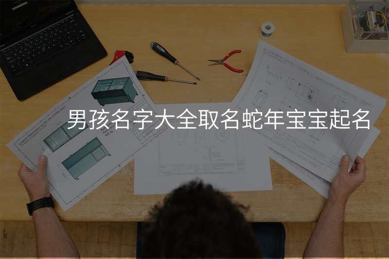 男孩名字大全取名蛇年宝宝起名