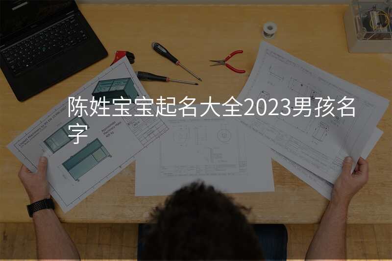 陈姓宝宝起名大全2023男孩名字