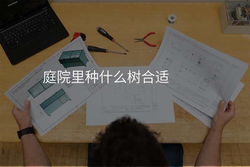 庭院里种什么树合适