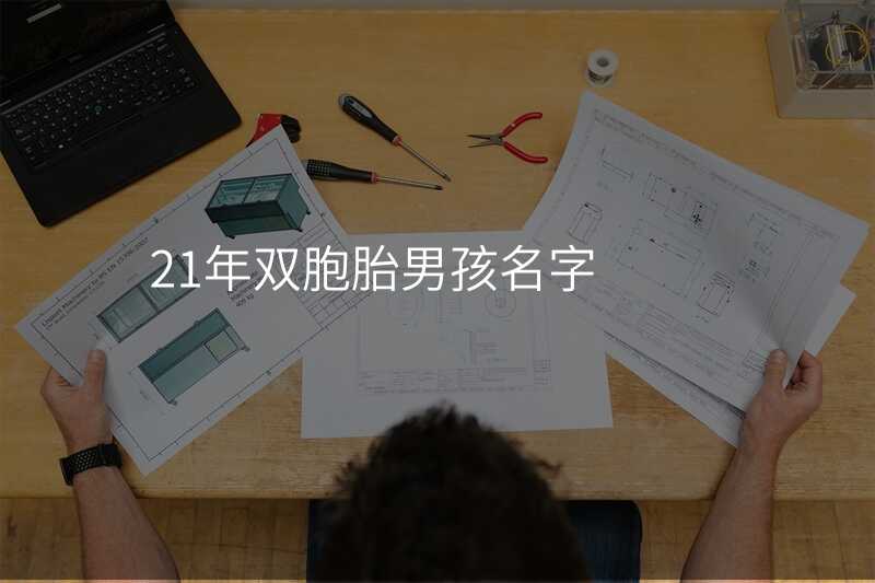 21年双胞胎男孩名字