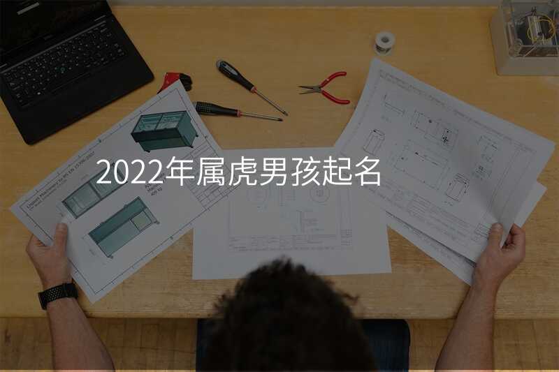 2022年属虎男孩起名