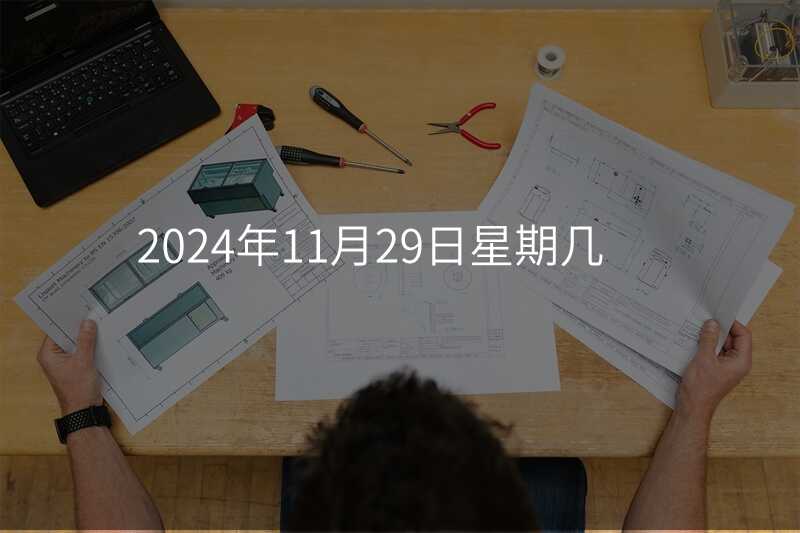 2024年11月29日星期几