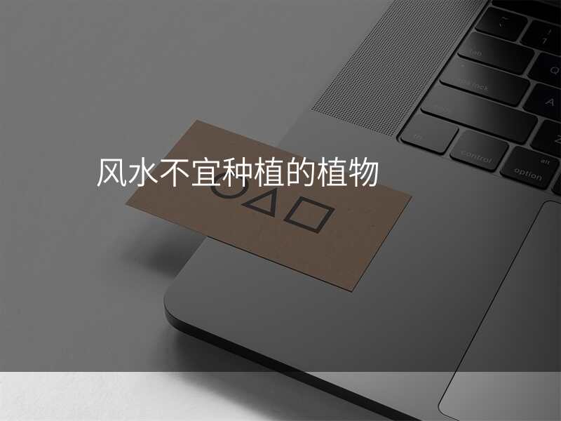 风水不宜种植的植物