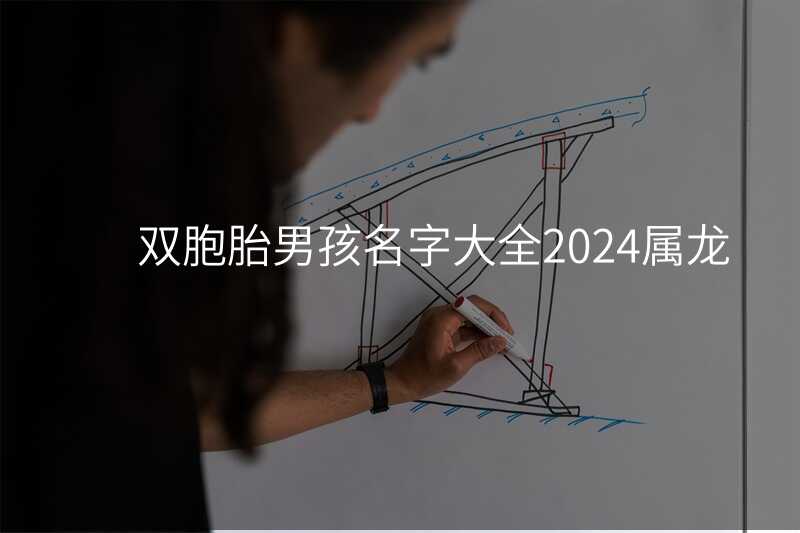 双胞胎男孩名字大全2024属龙