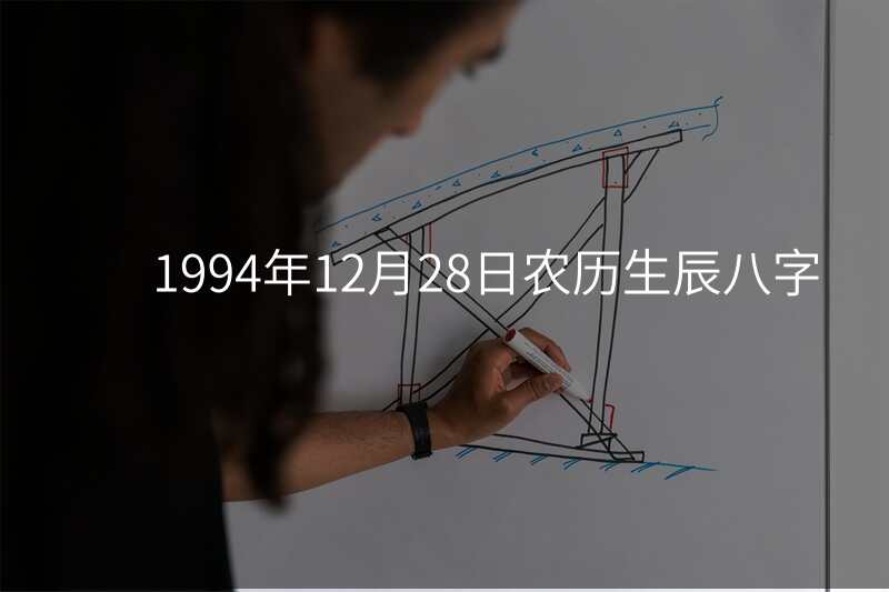 1994年12月28日农历生辰八字