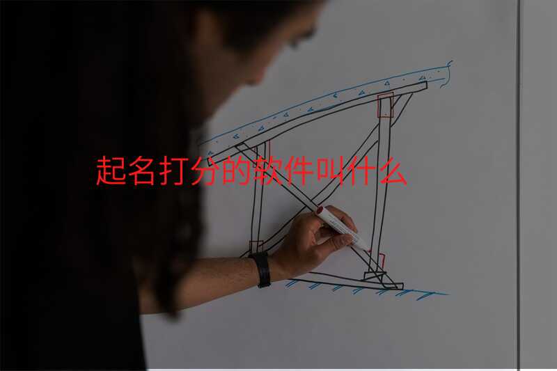 起名打分的软件叫什么