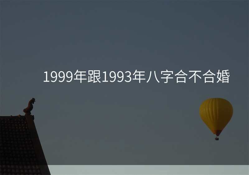 1999年跟1993年八字合不合婚