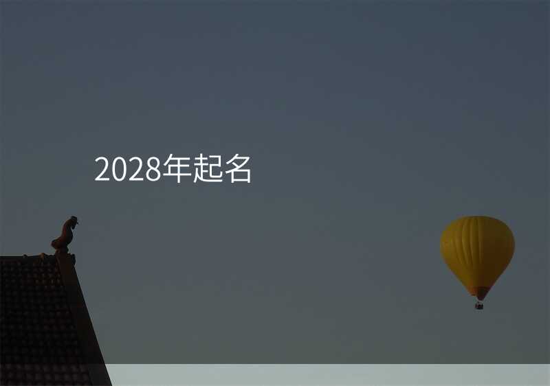 2028年起名