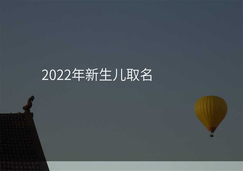 2022年新生儿取名