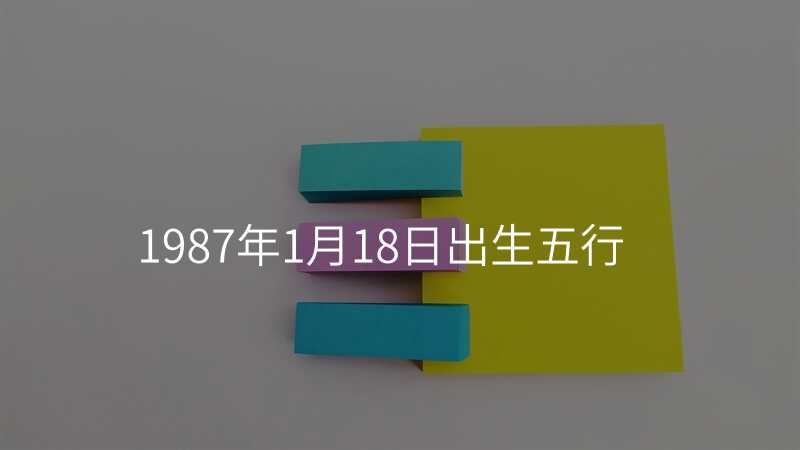 1987年1月18日出生五行