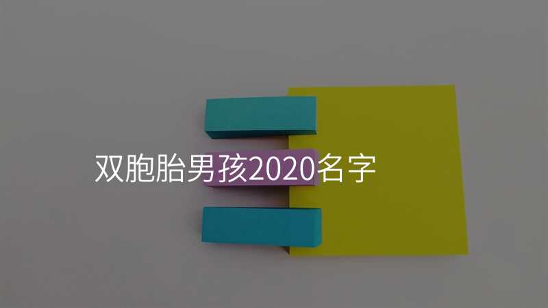 双胞胎男孩2020名字