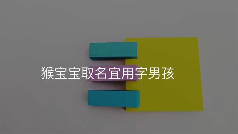 猴宝宝取名宜用字男孩