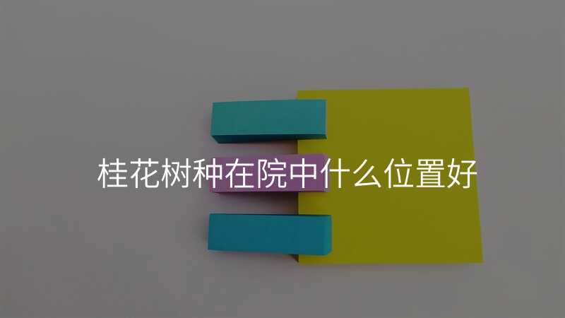 桂花树种在院中什么位置好