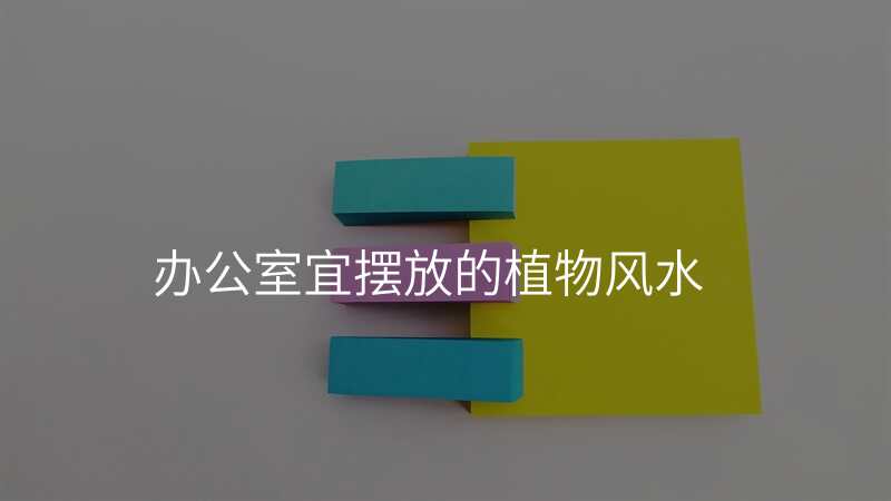 办公室宜摆放的植物风水