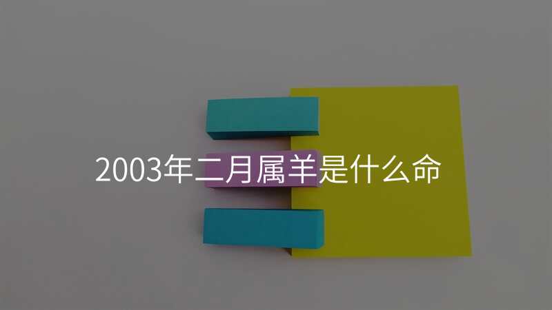 2003年二月属羊是什么命