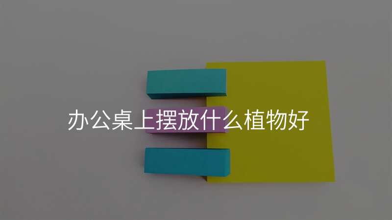 办公桌上摆放什么植物好