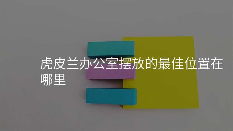 虎皮兰办公室摆放的最佳位置在哪里