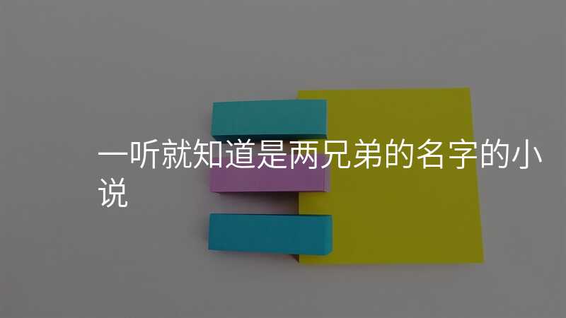 一听就知道是两兄弟的名字的小说