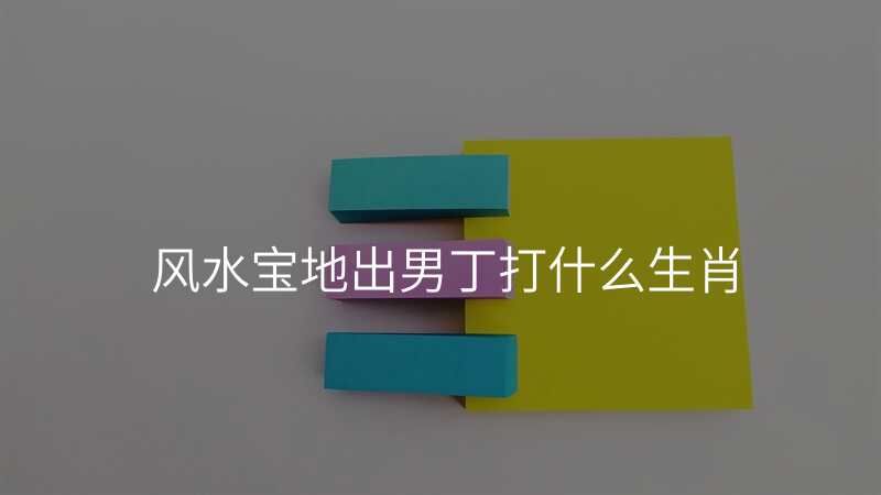 风水宝地出男丁打什么生肖