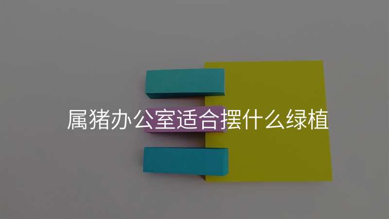 属猪办公室适合摆什么绿植