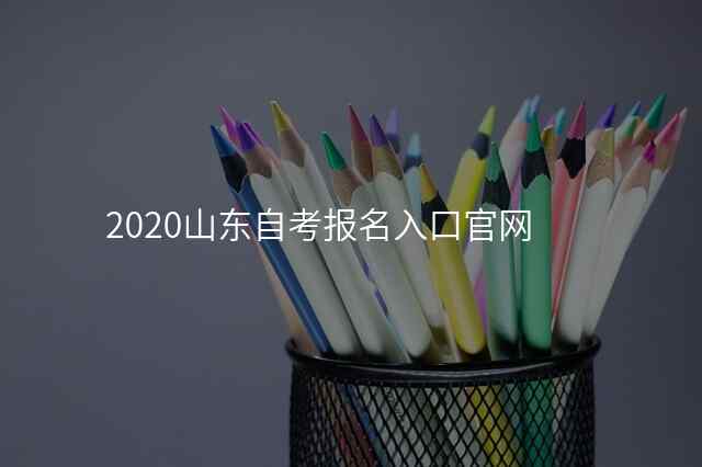 2020山东自考报名入口官网