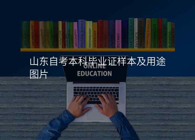 山东自考本科毕业证样本及用途图片