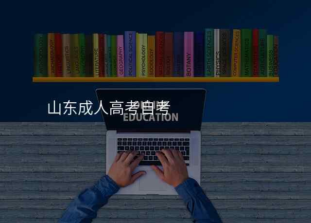 山东成人高考自考