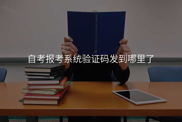 自考报考系统验证码发到哪里了