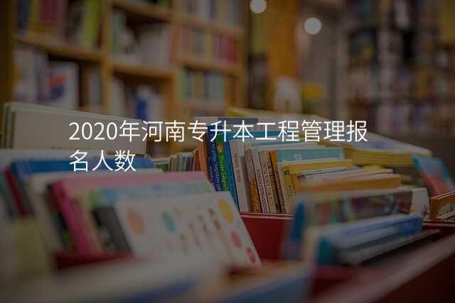 2020年河南专升本工程管理报名人数