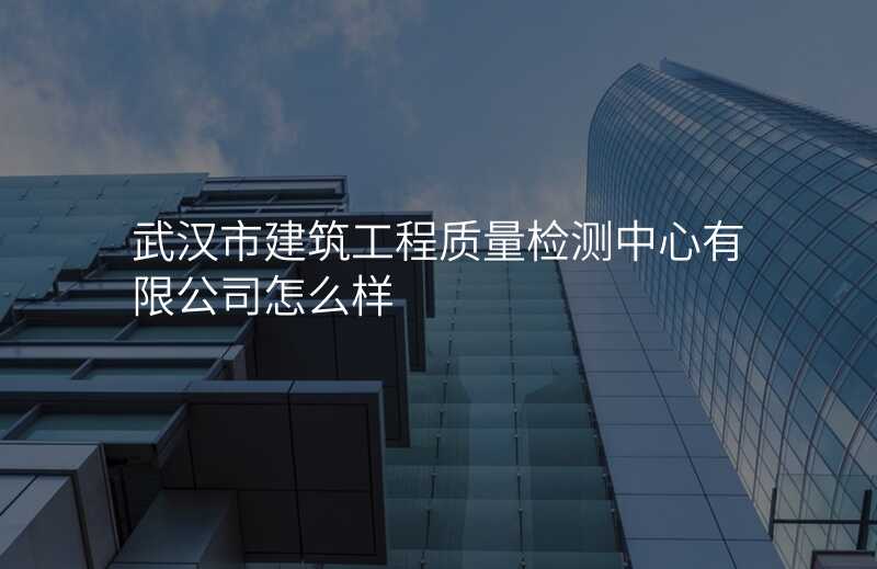 武汉市建筑工程质量检测中心有限公司怎么样