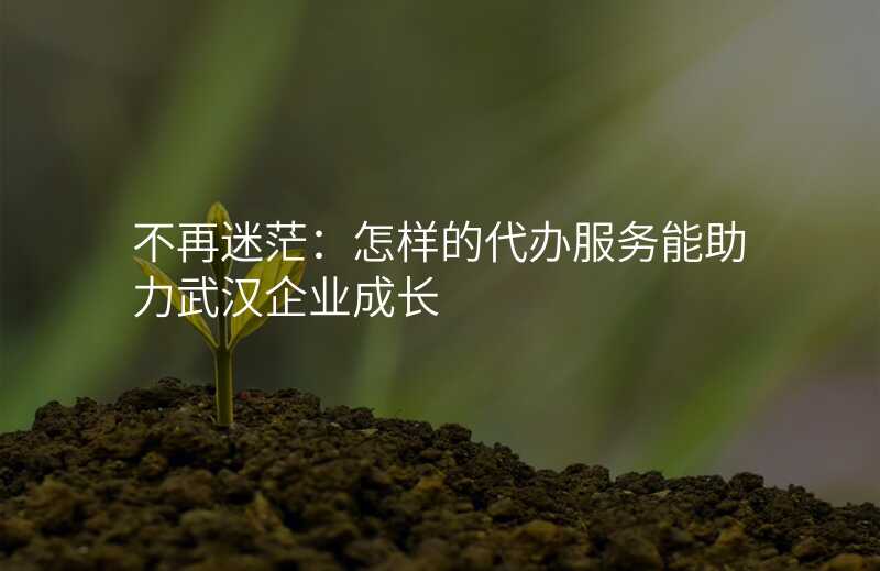 不再迷茫:怎样的代办服务能助力武汉企业成长