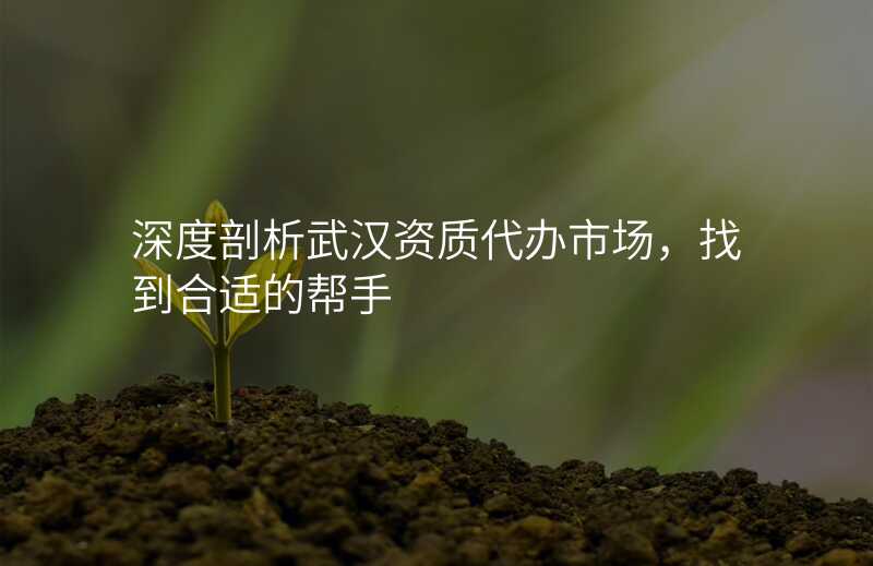 深度剖析武汉资质代办市场,找到合适的帮手