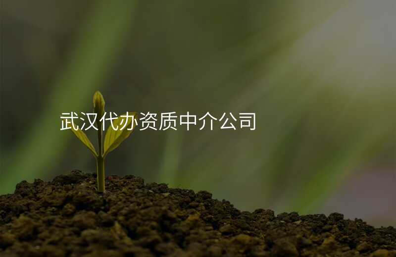 武汉代办资质中介公司