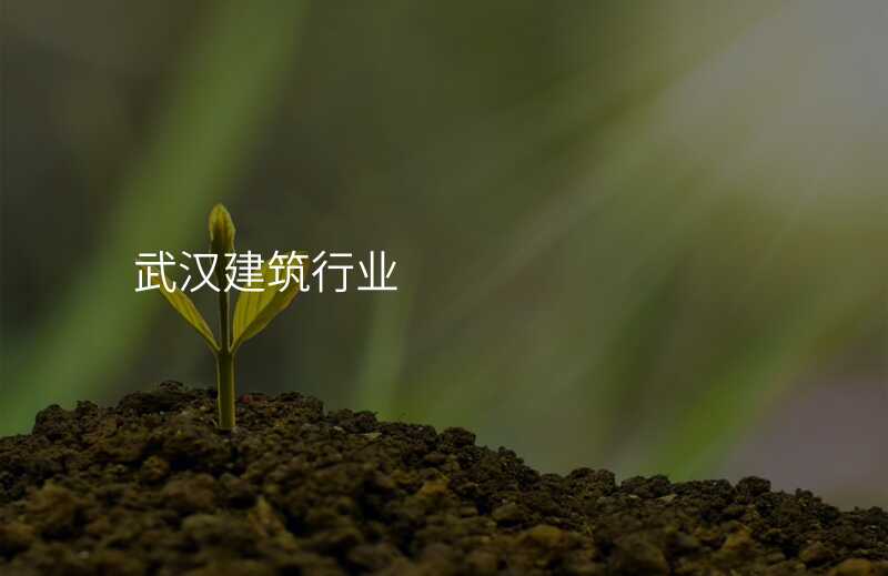 武汉建筑行业